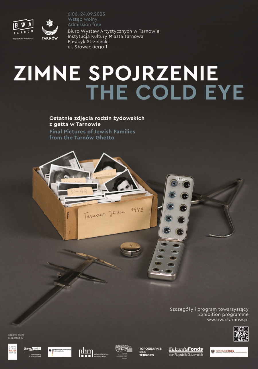 Plakat wystawy "Zimne spojrzenie"